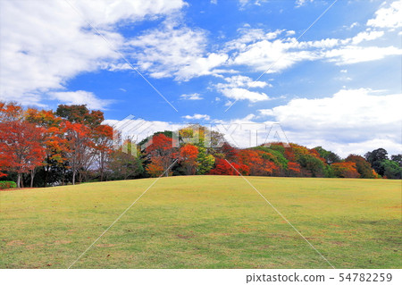 Kanazawa Castle Park in autumnal leaves Kanazawa Castle Park in autumnal leaves 54782259