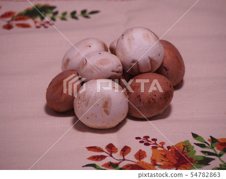 蘑菇 蘑菇 54782863