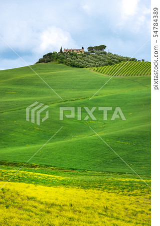 Beautiful spring landscape in Tuscany, Italy Beautiful spring landscape in Tuscany, Italy 54784389