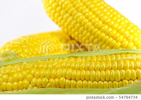 玉米 玉米 54784734