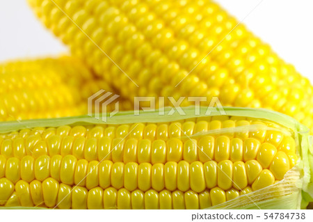 玉米 玉米 54784738