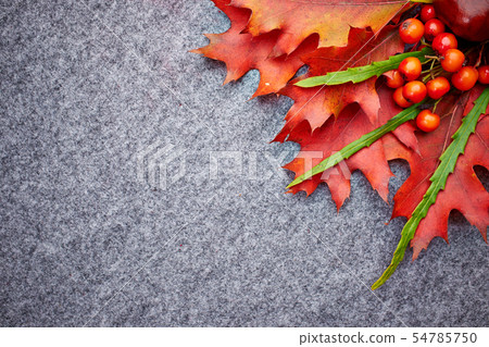 Red rowan lying on autumn leaves. Red rowan lying on autumn leaves. 54785750
