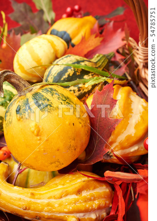 Autumn nature concept. Pumpkin. 54785751