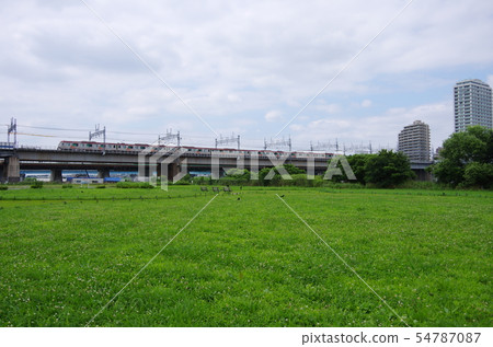 Riverbed greenery and railway Riverbed greenery and railway 54787087