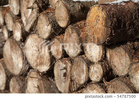 Pile of chopped fire wood prepared for winter 54787500