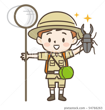 Insect collecting Insect collecting 54788263