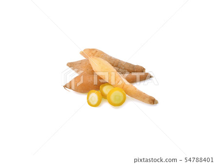 Fingerroot isolated on white background 54788401