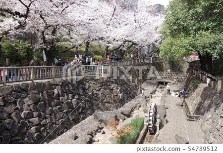東京北區音無水上樂園 東京北區音無水上樂園 54789512