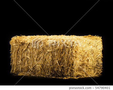 yellow dry barley straw 54790401