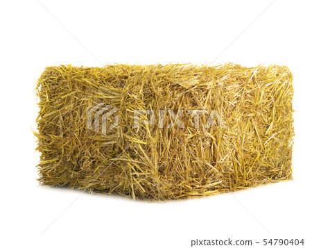 yellow dry barley straw isolated on white yellow dry barley straw isolated on white 54790404