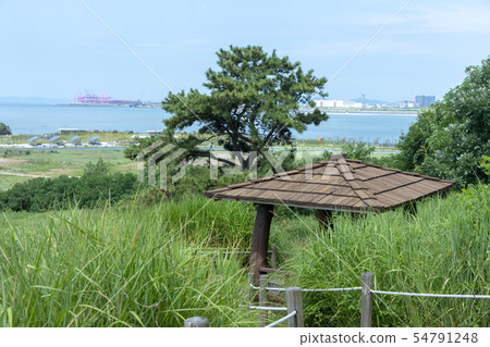 Okgu Park, Siheung City, Gyeonggi-do Okgu Park, Siheung City, Gyeonggi-do 54791248