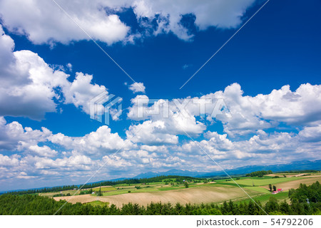A small house on the prairie, Biei 54792206