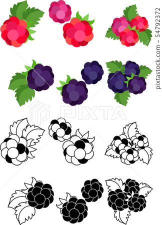 Raspberry and blackberry cute icons Raspberry and blackberry cute icons 54792372