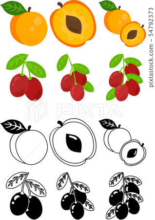 Cute icons of apricot and jujube Cute icons of apricot and jujube 54792373