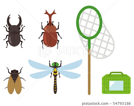 甲蟲雄鹿甲蟲半蜻蜓 54793186