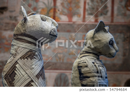 Mummified cat mummy egyptian in a pyramid tomb 54794684