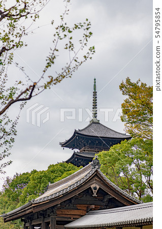 古都京都Touji五層寶塔 54795854