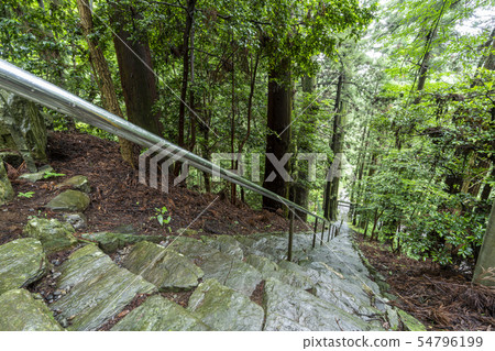 Gun Tori神社的石階 54796199