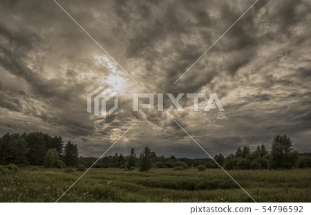 storm over the forest storm over the forest 54796592