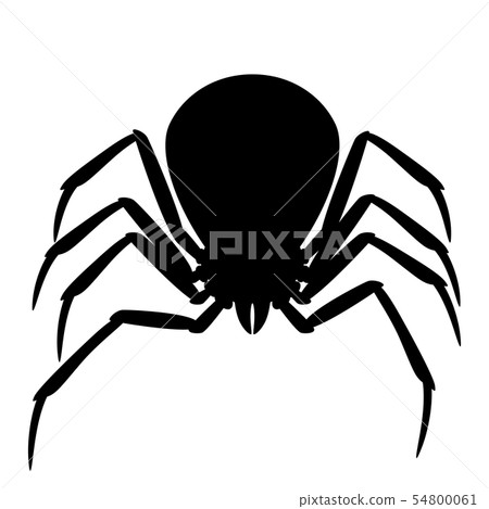 Black widow spider silhouette. 54800061