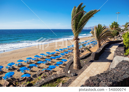 Puerto del Carmen, Lanzarote, Canary islands Puerto del Carmen, Lanzarote, Canary islands 54800074