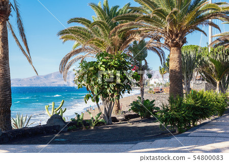 Puerto del Carmen, Lanzarote, Canary islands Puerto del Carmen, Lanzarote, Canary islands 54800083
