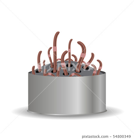 Animal Earth Red Worms for Fishing on White Background 54800349