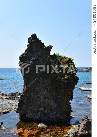 拍攝浣熊的夏天風景在晴朗的北海道鎮Nagasu海灘晃動 拍攝浣熊的夏天風景在晴朗的北海道鎮Nagasu海灘晃動 54801385