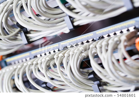 Gigabit network switch and perfect aligned patch cables in datacenter 54801601