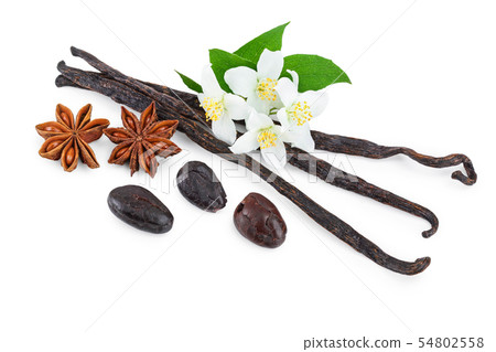 Vanilla sticks with cocoa bean and star anise isolated on white background Vanilla sticks with cocoa bean and star anise isolated on white background 54802558