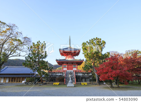 Kyoto, autumn, Daikakuji, heart treasure tower Kyoto, autumn, Daikakuji, heart treasure tower 54803090