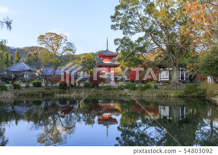 Kyoto, autumn, Daikakuji, heart treasure tower 54803092