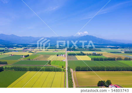 Aerial view of Memuro town 54803743