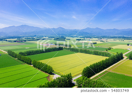 Aerial view of Memuro town 54803749