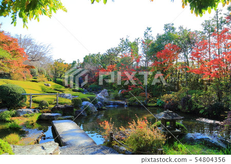 京都退休醫院 京都退休醫院 54804356