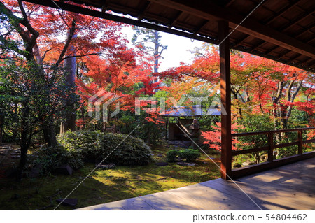 Kyoto Daihoin Kyoto Daihoin 54804462