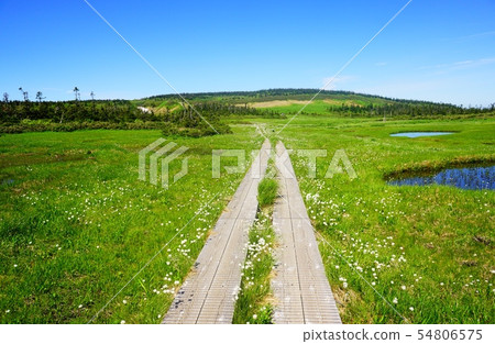 Flowering Hachimantai Trekking Course 54806575