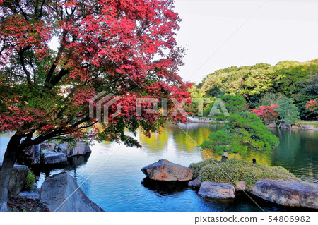 秋葉德川 54806982