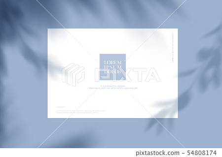 Illustration, summer, background Illustration, summer, background 54808174