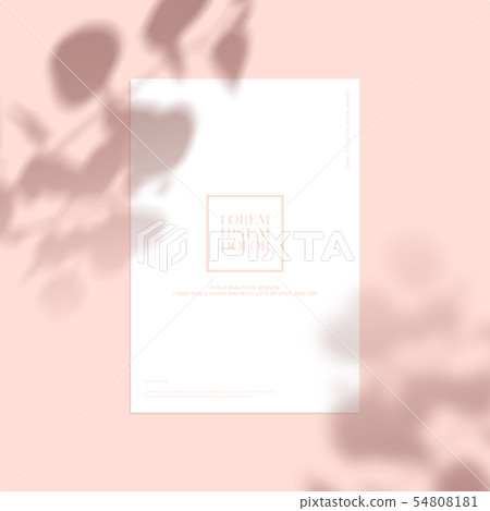 例證，夏天，背景 54808181