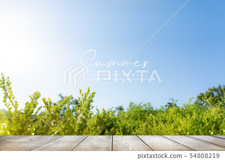 Illustration, summer, background Illustration, summer, background 54808219