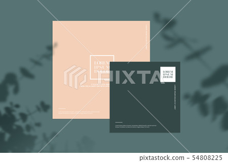 Illustration, summer, background Illustration, summer, background 54808225
