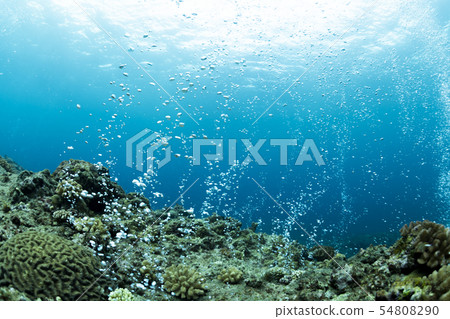 Air curtain 54808290