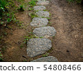 森林公路 54808466