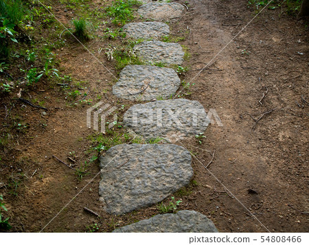 森林公路 54808466
