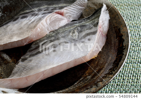 Sagochi圓角 54809144