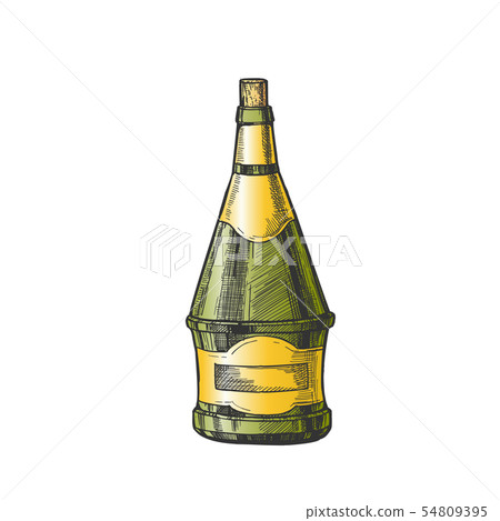 Conical Hand Drawn Color Bottle Of Wine Vector 54809395