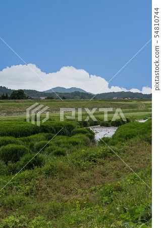 Yamashiro Tsukiyama Tomida城堡下部Tondagawa河床 54810744