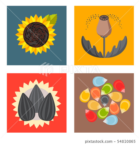 Cereal seeds grain product badge logo templates set natural plant muesli grainy organic porridge Cereal seeds grain product badge logo templates set natural plant muesli grainy organic porridge 54810865