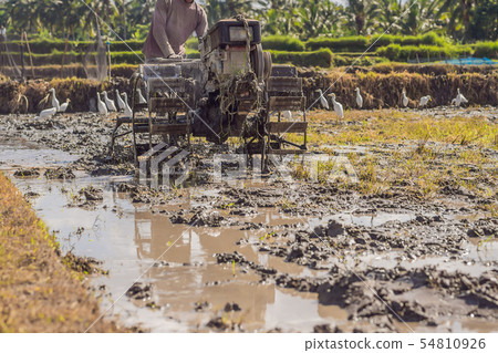 plows machine - Walking Tractor with green rice farm at sunny day 54810926